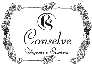 Conselve vigneti e Cantine logo