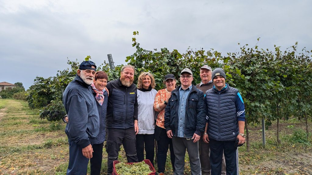 Vendemmia di inclusione 2024