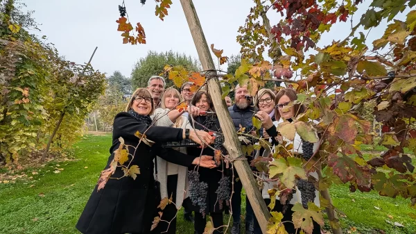 Vendemmia dei Sindaci 2025